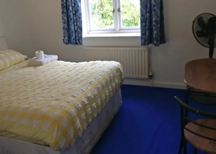 Room In A Shared Flat
